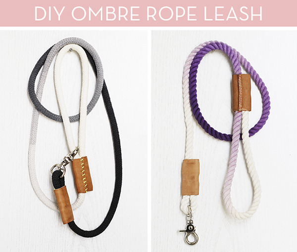 how to make dog leashes