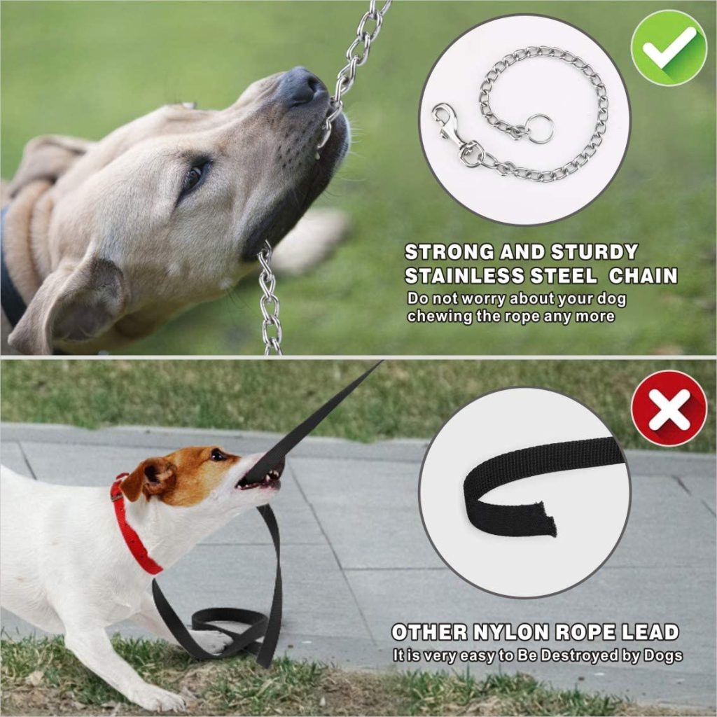 dog chewing leash