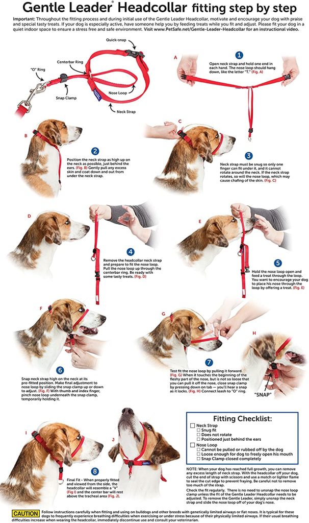 are slip leads safe for dogs